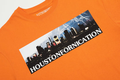 Houstonfornication T-Shirt