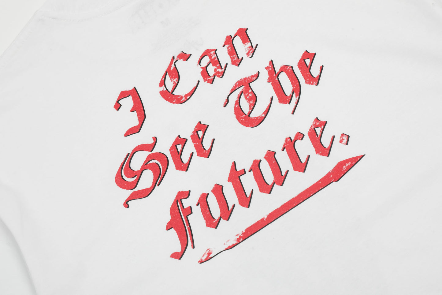 I Can See the Future T-Shirt